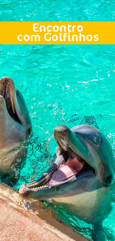 ENCONTRO COM GOLFINHOS - INTERATIVA VIAGENS